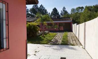 Imagem 3: Raridade na parte alta do Laranjal