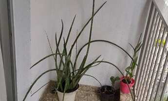 Imagem 7: Apartamento para venda tem 86 metros quadrados com 3 quartos em Santana - São Paulo - SP