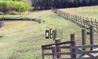 Imagem 5: Sítio com 3 dormitórios à venda, 160000 m² por R$ 699.999,99 - Alfredo Vasconcelos - Alfre