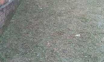 Imagem 7: Ótima casa em Céu Azul, Camaragibe, para alugar com três quartos por R$ 600,00