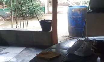 Imagem 7: CHACARA 1 ALQUEIRO MUNICIPIO JARAGUA