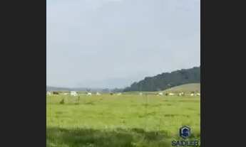 Imagem 6: Fazenda na região de Bom Jardim RJ