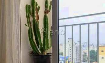 Imagem 6: Apartamento para locação no Bonfim - Campinas/SP