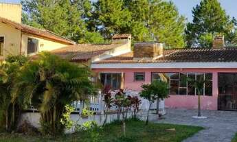 Imagem 2: Raridade na parte alta do Laranjal