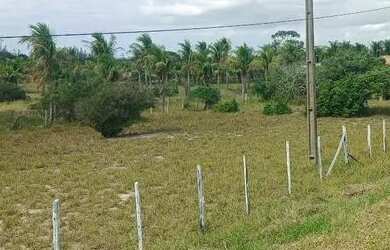 Imagem 4: Vendo 5 lotes de 12 por 30