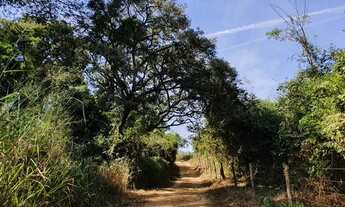 Imagem 3: Fazendinhas 20.000m2 com Água Luz e Porteiras 24.915 + Parcelas