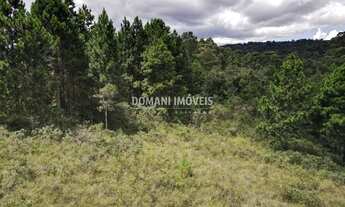 Imagem 7: Ampla Área de Terreno à Venda na Região do Alto da Boa Vista - Campos do Jordão/SP