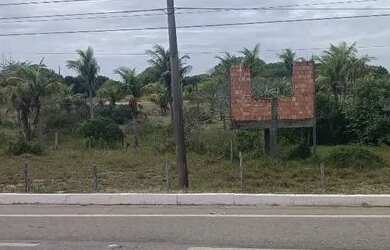 Imagem 5: Vendo 5 lotes de 12 por 30