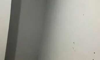 Imagem 5: Casa com 1 dormitório para alugar por R$ 600,00/mês - Jardim Santa Terezinha - São Paulo/S