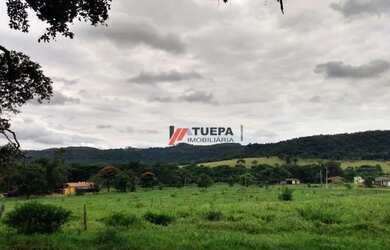 Imagem 3: Fazenda c/ 6 dorm à venda c/ 55 alqueires por R$ 8.000.000,00 - Area Rural - Descalvado/SP