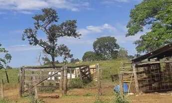 Imagem 4: CHACARA 1 ALQUEIRO MUNICIPIO JARAGUA