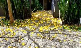 Imagem 3: Sobrado Venda Alto Padrão 3 suites 6 vagas Via Madalena