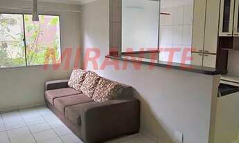 Imagem 3: Lindo apartamento em Pedra Branca