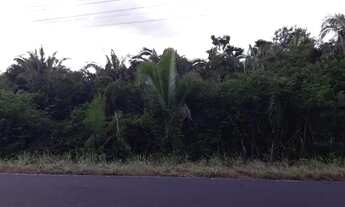 Imagem 2: Fazenda para pecuaria em Caxias do Maranhão