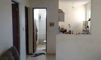 Imagem 5: Apartamento recanto verde 4