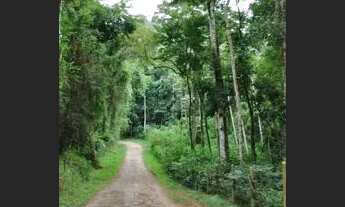 Imagem 4: Terreno 20.000m2