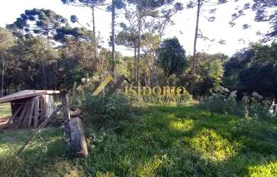 Imagem 3: EXCELENTE CHÁCARA!!! 3.719,81m² DE ÁREA TOTAL, PRÓX. BR 116