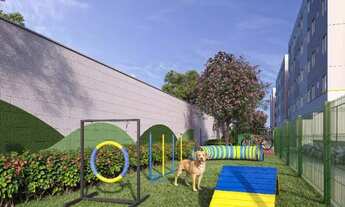 Imagem 7: Apartamento próximo a Godofredo Maciel Cod0262