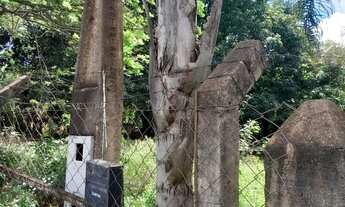 Imagem 4: Vendo chácara no morada nova 20x50 1000m2 com casa e cercada