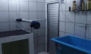 Imagem 6: Passo Pet Shop Galpão / depósito com venda por R$32.000