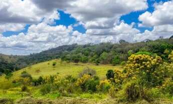 Imagem 2: Lotes na cidade de São Roque - SP