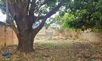 Imagem 6: Lote Jardim Ipiranga 373m²