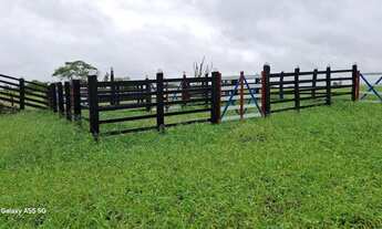 Imagem 3: Linda fazenda de aproximadas, 107t, às margens da Br 324 Norte, toda no capim