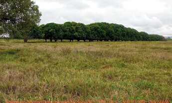 Imagem 4: Fazendinha de 50 hectares próximo da cidade de Cuiabá MT
