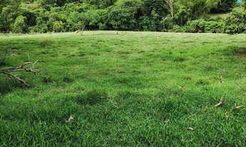 Imagem 5: Sítio bom para abacate ,café ,milho,gado