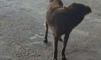 Imagem 2: VENDE-SE CASA NO ALTO DO PASCOAL