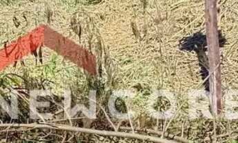 Imagem 2: Lote em Avenida Padre Anchieta - Estância Balneária Maria Helena Novaes - Peruíbe/SP