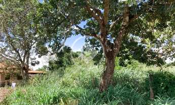 Imagem 2: Piracanjuba - Terreno Próximo ao Pedagio codigo: 109160
