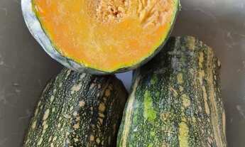 Imagem 4: Excelente Chácara de 2.3 Hectares no Córrego do Atoleiro Planaltina DF- Córrego nos Fundos