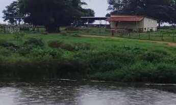 Imagem 3: Sítio 10 alqueires em Edeia-Go