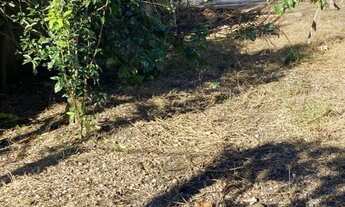 Imagem: TERRENO ALTO A VENDA NA COHAB FRAGATA-PELOTAS