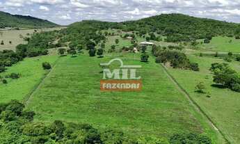 Imagem 4: Chácara 8.91 Alqueires (43.15 Hectares) Jandaia - GO