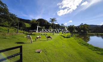 Imagem 7: Sítio para Lazer | Município de Calcilândia