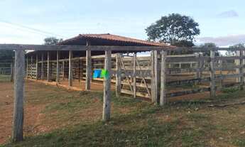 Imagem 4: FAZENDA À VENDA - 454 HECTARES - REGIÃO DE BOCAIUVA (MG