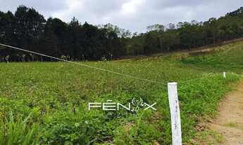 Imagem 3: Casa de condomínio para venda com 500 metros quadrados