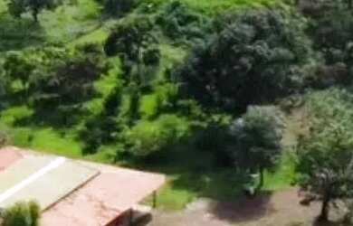 Imagem: Chácara à Venda em Piracanjuba - GO