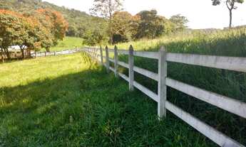 Imagem 7: Fazenda , 50 hectares, casarão, muita baixada