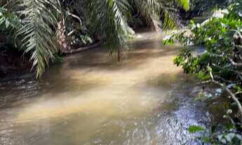 Imagem 4: Chácara com Córrego