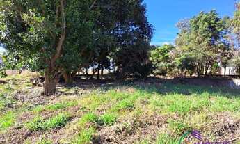 Imagem 3: TERRENO - CHÁCARAS SILVANIA - SP