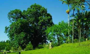 Imagem 5: Chacara Bairro dos Fernandes em Jundiaí