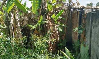 Imagem 3: Terreno 14 x 20 em Candeias