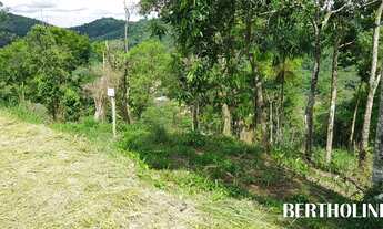 Imagem 5: PENEDO - Terreno Padrão - Penedo
