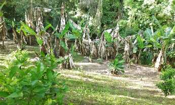 Imagem 2: Chácara Campo Largo,Sete Barras, 4,71 alq ou 113.000m² , chalé, tanque, rio, água nascent