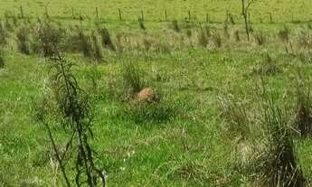 Imagem 2: Terreno fechado em sp - igarata 600m²