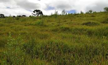 Imagem 6: Terreno Rural para Venda, 64.493,00 m², São Bento do Sul / SC, bairro Alpino