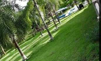 Imagem 6: Chácara 8.9 hectares 26 km Campo Grande MS